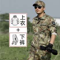 Camouflage suit men's autumn spring new python pattern wear-resistant labor protection new military training authentic training work clothes