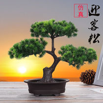 Simulation of welcome pine fake flower plastic flower potted ornaments fake pine tree green planting bonsai living room porch decorations