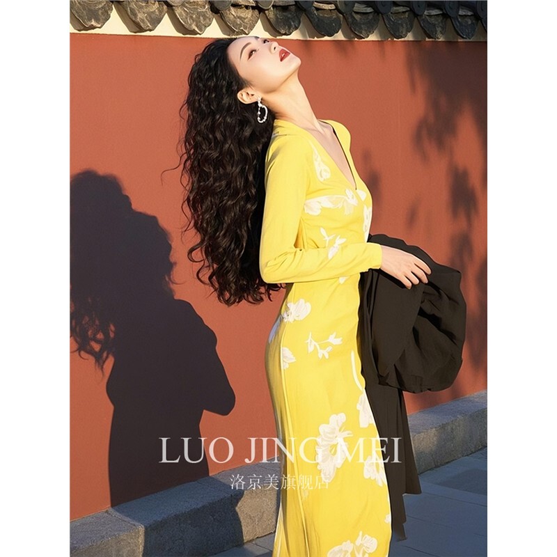 Yellow Slim V Neck Printed Dress 2025 Spring New Style Long Skirt with Important Occasion Royal Sister Style