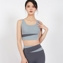 Yoga clothing set womens summer sports bra professional vest fashionable shockproof push-up bra fitness running suit