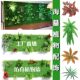 Green Plant Background Wall, Simulated Plant Wall, Three-Dimensional Greening, Lawn Wall Decoration, Balcony Indoor Plastic Lawn Fence