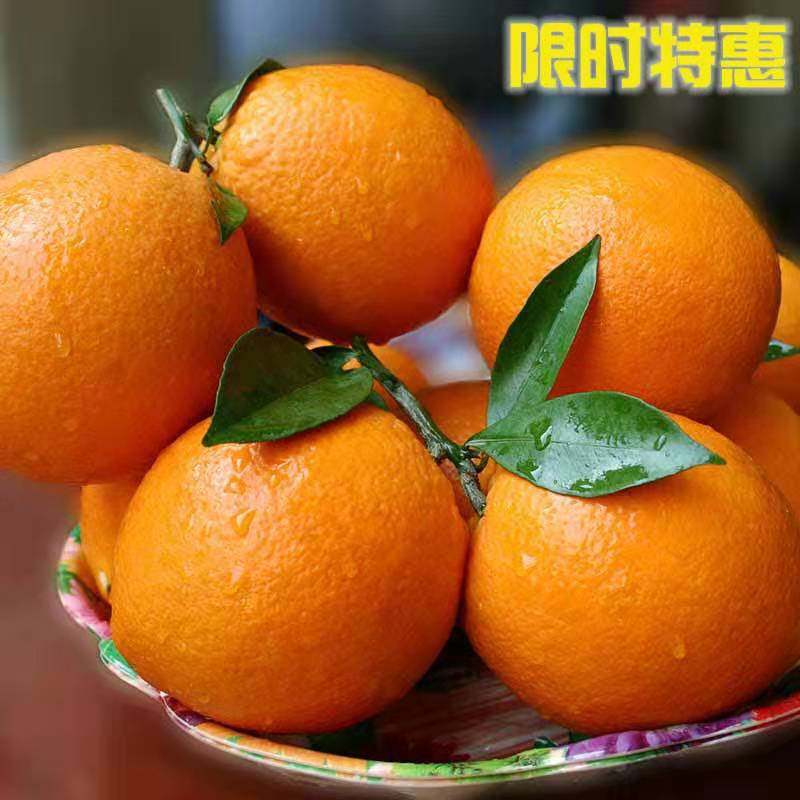 Orange fruit Fresh fruit fruits sweet orange green natural juicy