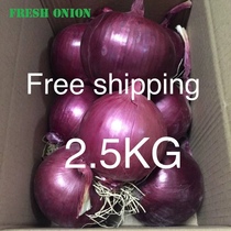 promotion fresh onion 5kg middle size fresh onion vegetable 2 5kg