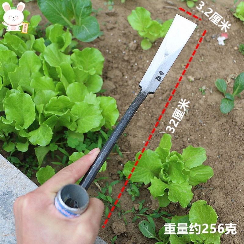 Special spade knife for digging wild vegetables Digging Winter Mushrooming and Multi-functional Excavation Dandelion Dig Garlic wild chestnuts Vegetable Planting Tools