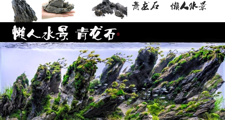 山谷石和青龙石,青龙石造景石头,山谷石造景(第2页)_大山谷图库