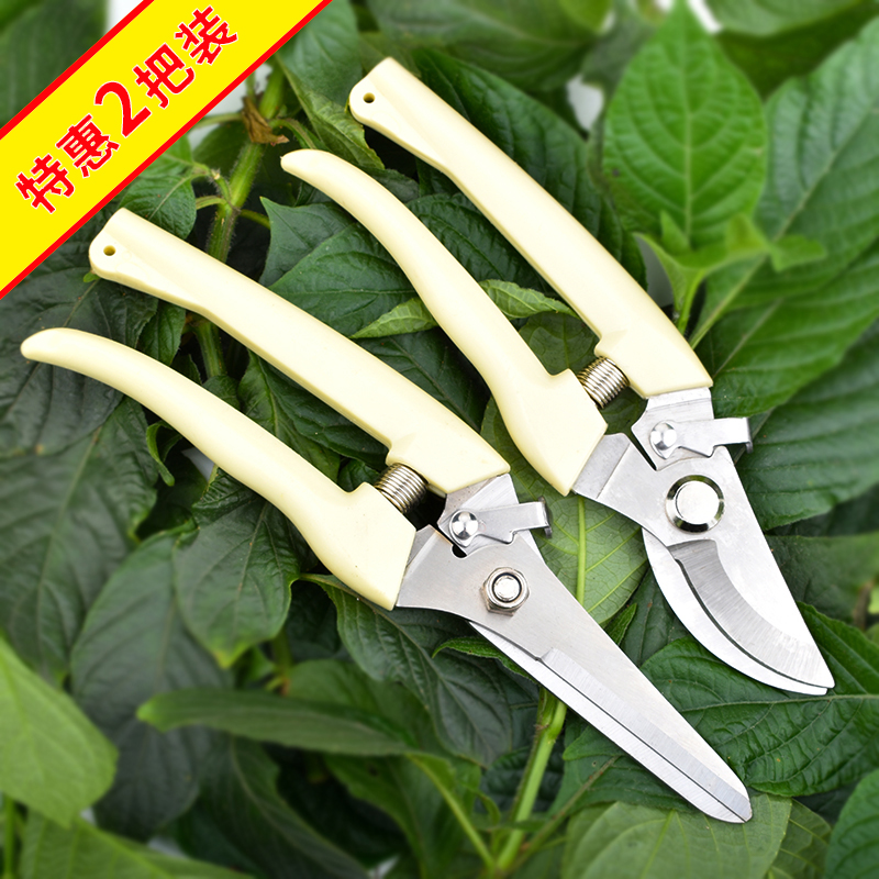Pruner cut fruit cut garden fruit tree fruit tree flower branch grafting gardening scissors labor-saving coarse branch cut flower branch shears