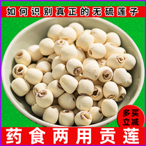 Xiangtan special core white lotus seed 500g Hunan specialty medicinal dermabrasion inch three Lotus coreless Xianglian dry goods