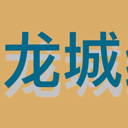 龙城纸箱厂的LOGO