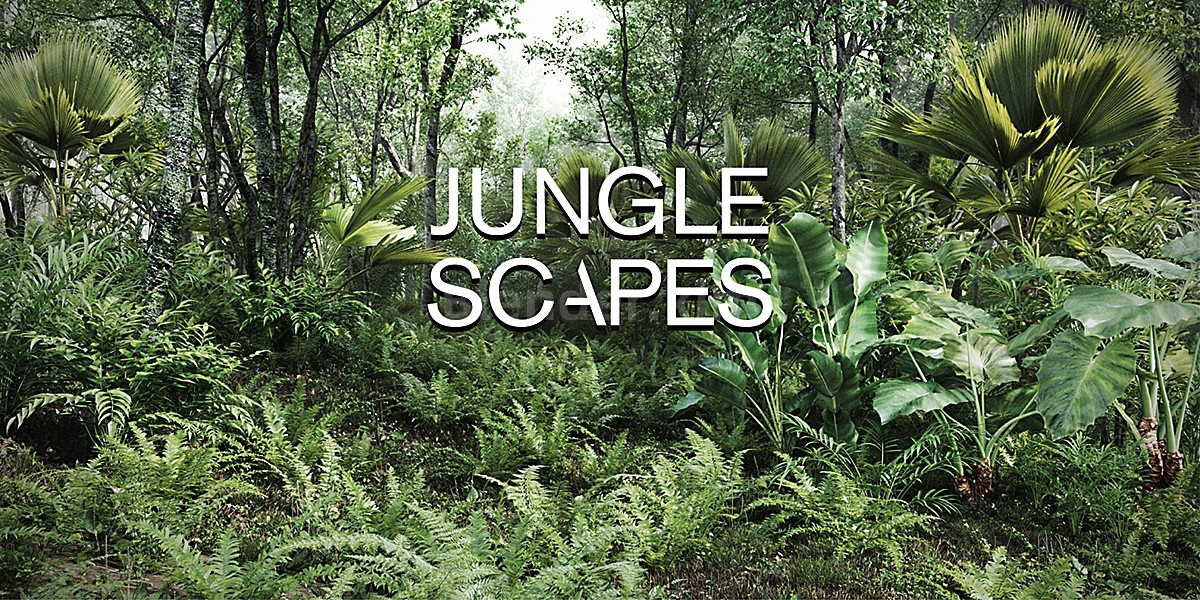 丛林资产 Jungle scapes-魔酷网
