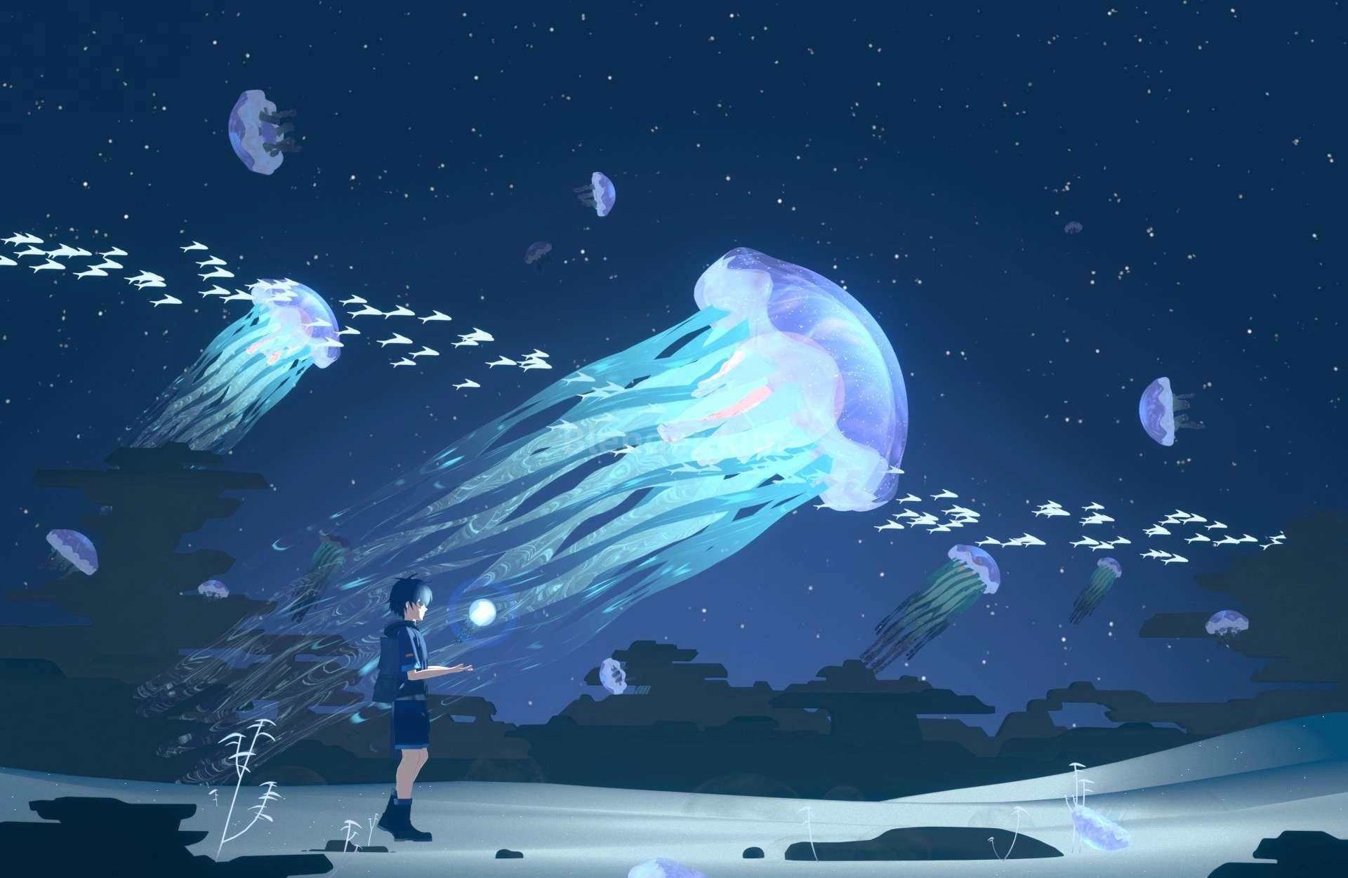 深海里的少年-魔酷网