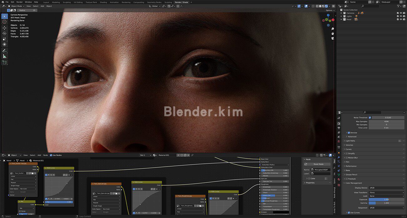 图片[4]-高清人头 3D ScanStore Free+Head-魔酷网