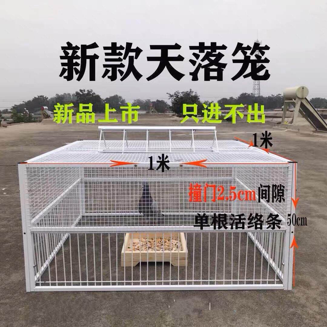 捕鸽神器让你轻松捕获！🚀新手必备的加密天落鸽笼诱捕陷阱笼 pigeon-catching tool 🦩-鸟笼-淘宝好物网