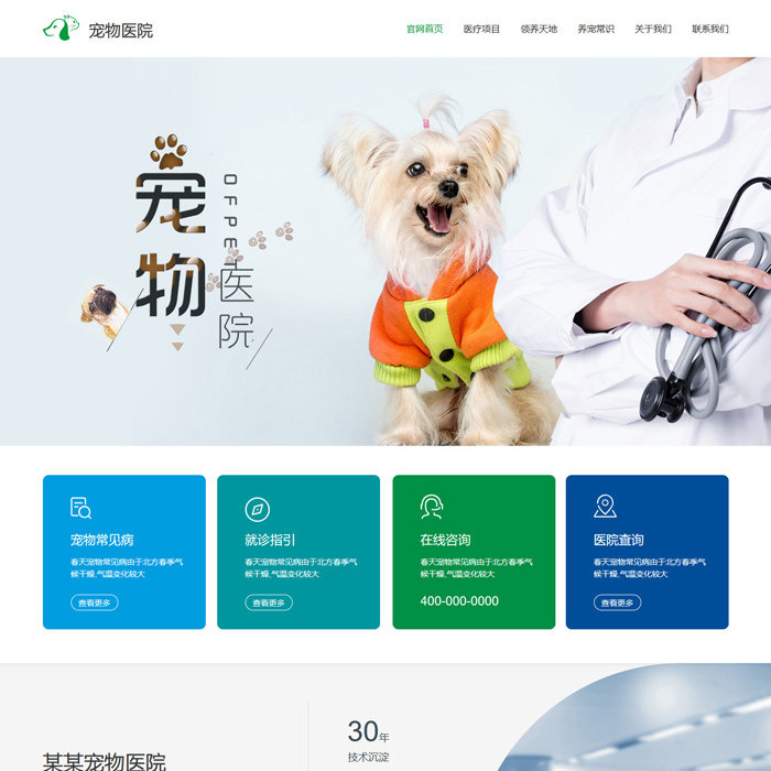Pet hospital treatment template website Finished fool website WeChat tablet website
