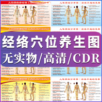 Human meridian acupuncture point vector meridian health culture wall sticker poster display board design cdr material template