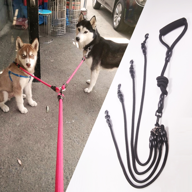Detachable two dogs one drag two traction rope double head walking dog rope dog chain Teddy gold wool small large canine supplies