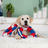 Собаки вокал, кусая игрушка, игрушка укусить и укусить укусить, большая собака Лабрадор Золотой ретром Самоя 神