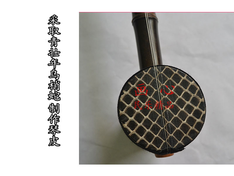 Zizhu Jinghu nhạc cụ quốc gia trục đen da rắn xipi hai màu vàng trên nhà máy đặc biệt mới trực tiếp vận chuyển đàn tranh việt nam