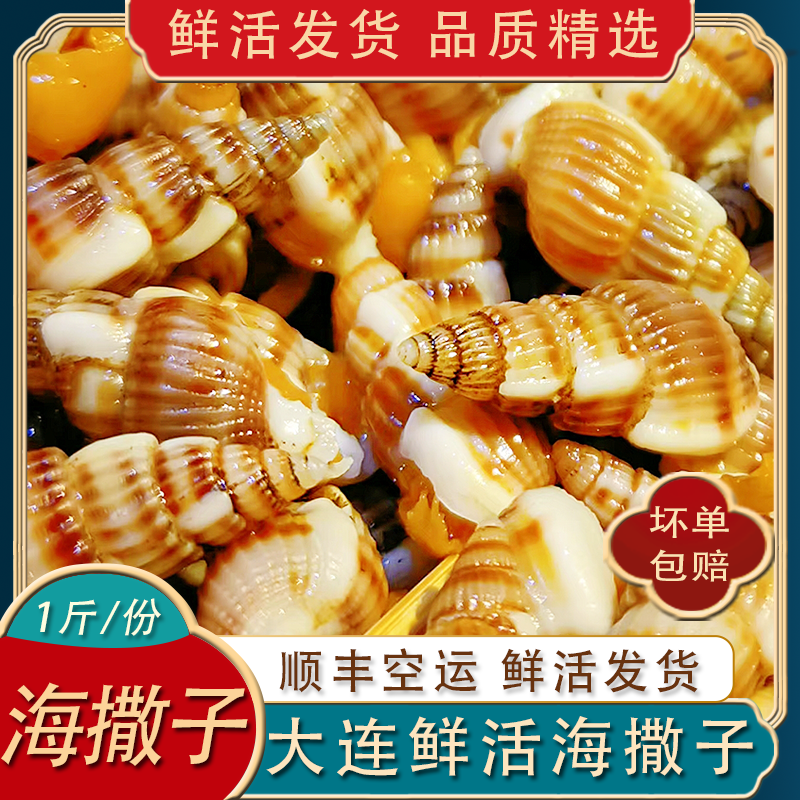 Dalian Fresh Haisazi Air Freight Live Hair 500g