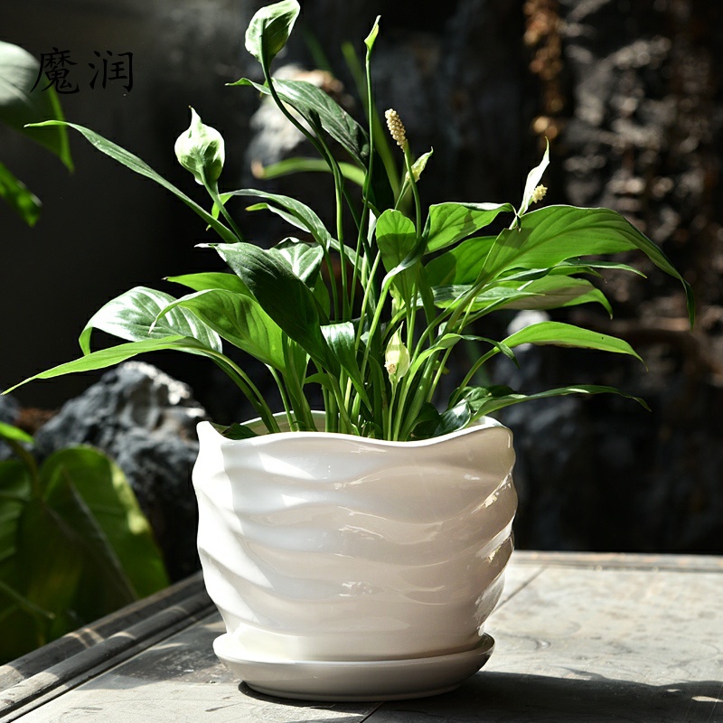 The Ceramic pot special offer a clearance large oversized other household contracted plastic small fleshy flower POTS with supporting