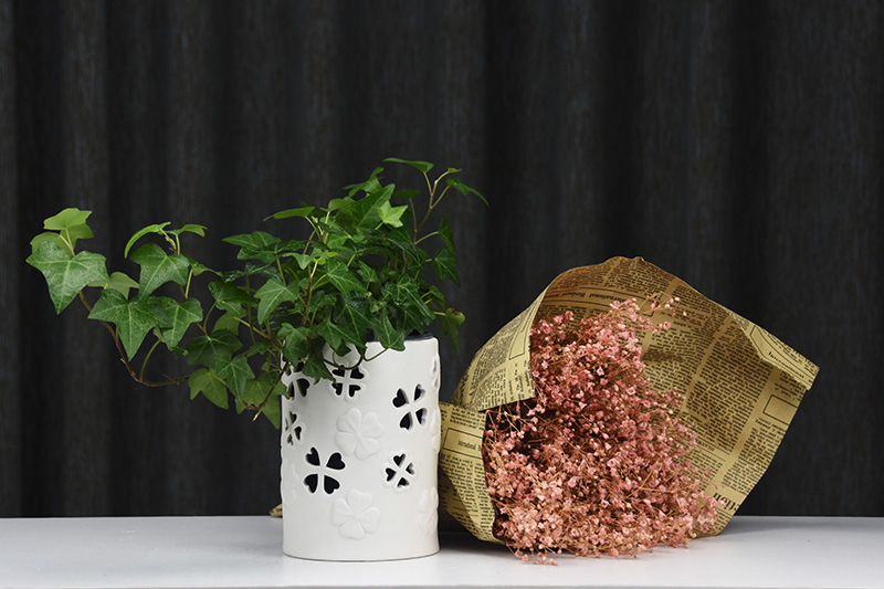 Spring park, contracted style white porous permeability more meat the plants tin caulis dendrobii hollow ceramic flower pot to the plants