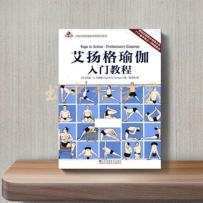 Iyengar Yoga Beginner's Guide (India) by Gita S. Iyengar Jiangsu Fine Arts 2015.04