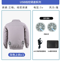 Серый 1+USB -аксессуар 1+зарядка сокровища 1 Вт