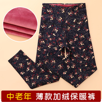 Middle-aged and elderly thin cotton pants female grandmother warm pants plus size plus velvet thin loose loose wear old lady autumn and winter