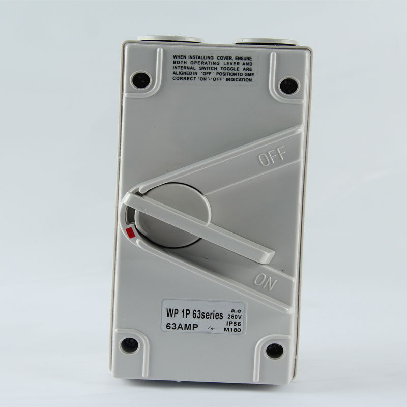 1P 63A Industrial Isolation Switch Load Safety Waterproof Switch Breaker Power Switch Outdoor Waterproofing