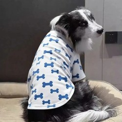 Golden Hair Border Animal Husbandry Pet Dog Clothes Medium and Large Dog Thin Cute Anti-hair Dog Clothes