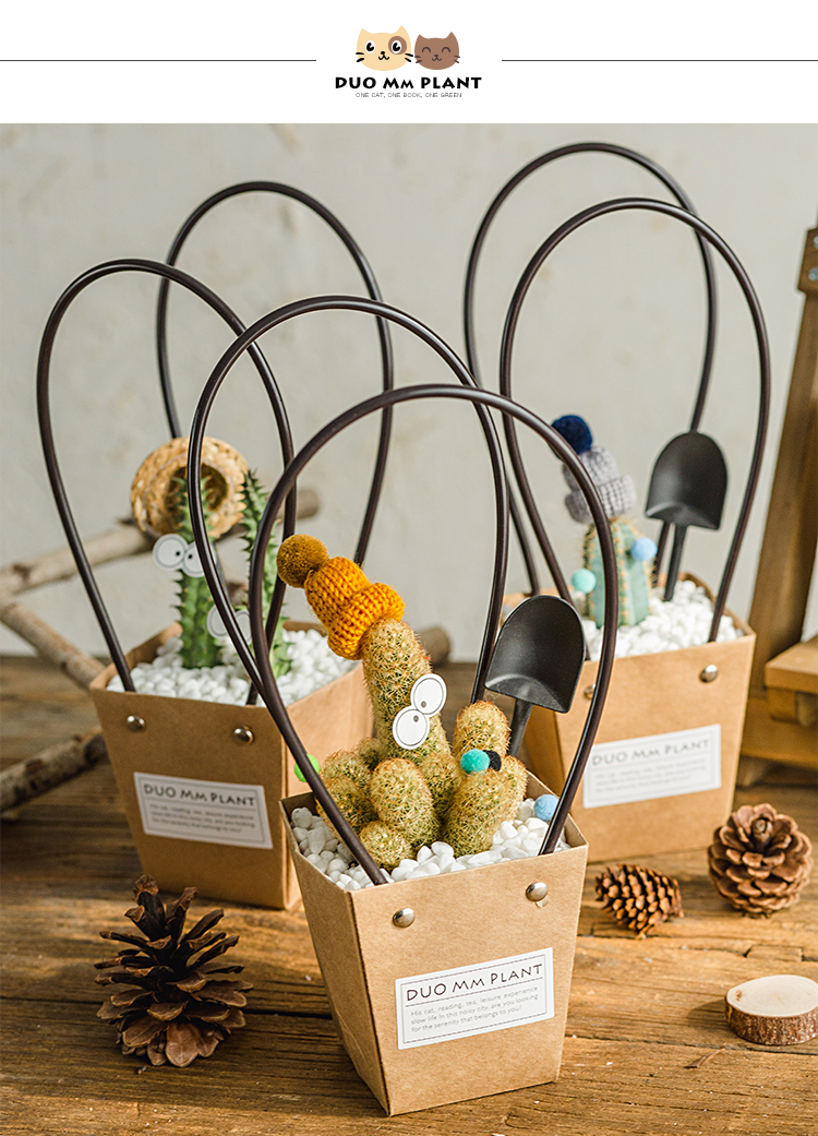 Cây xương rồng Cây trồng trong chậu Hoa Bộ lọc không khí Văn phòng Máy tính để bàn Trang trí Handmade Túi giấy kraft Cây xanh - Trang trí nội thất trang trí phòng ngủ nhỏ không giường