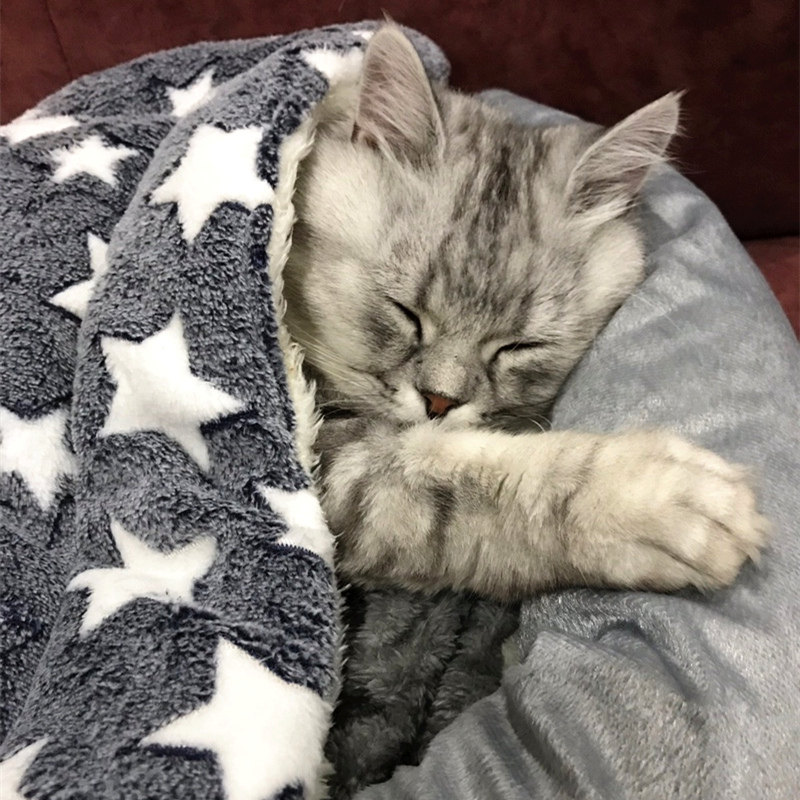 Cat mat Sleeping cat quilt Winter cat quilt nest Cat mat Soft winter cat blanket Non-stick hair winter