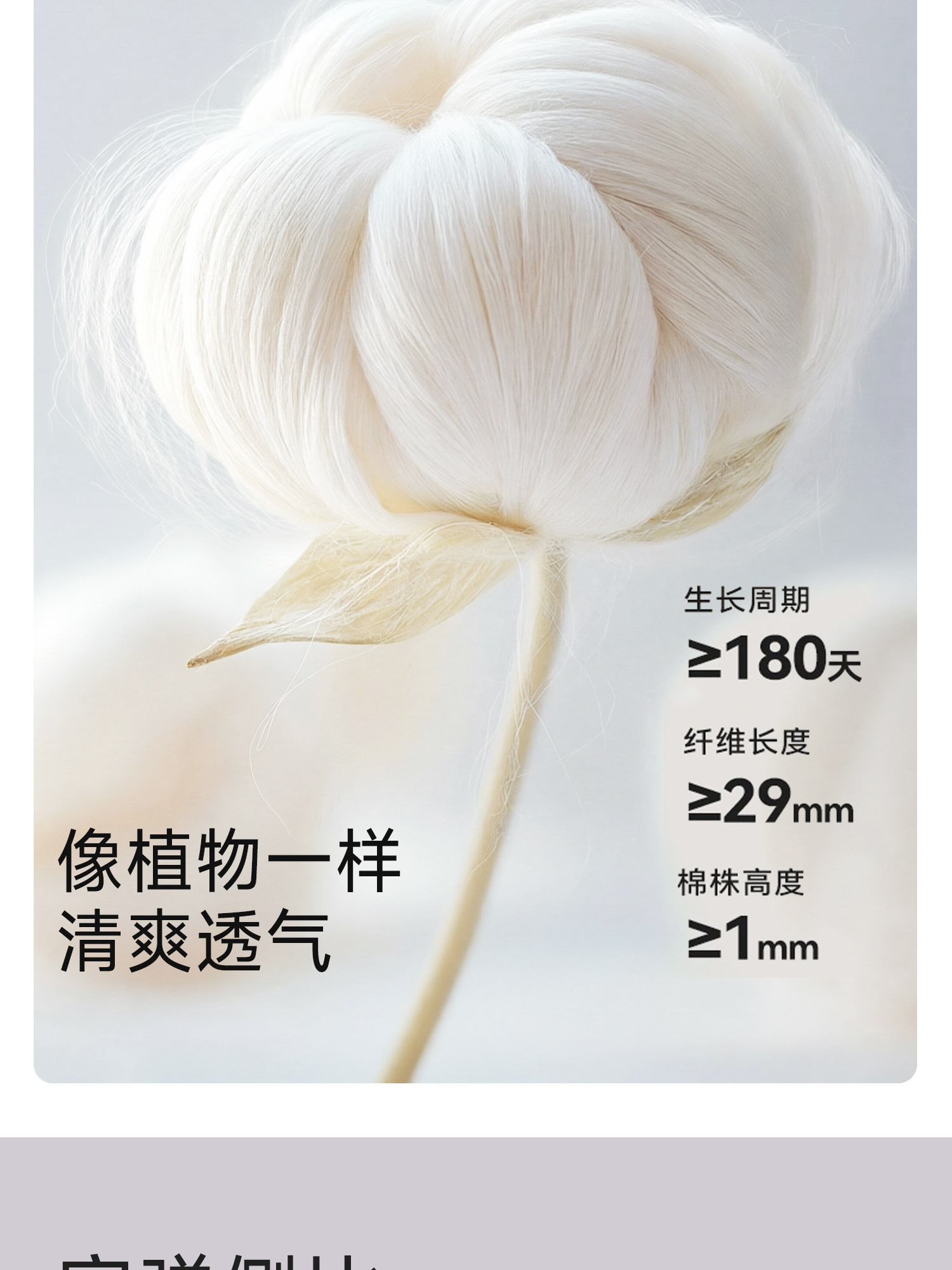 前开扣哺乳内衣产后喂奶睡觉穿孕期专用背心式孕妇文胸夏季超薄款 — 15