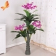 Mô phỏng hoa phong lan nhựa phòng khách trong nhà sàn lụa hoa trang trí cây Phalaenopsis chậu văn phòng hoa giả - Hoa nhân tạo / Cây / Trái cây