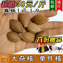 Olive nucleus prokaryotic diameter 1 7-1 9 single seed nucleus carving string text play Guangdong black olive nucleus large miscellaneous oil nucleus