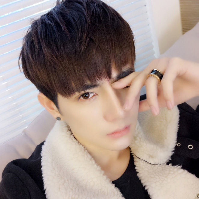 Wig boys short hair Korean version handsome men fluffy natural net red short curly hair forced the whole wig