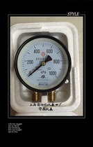 Shanghai Automation Instrument 4 Factory Double Needle Double Tube Pressure Gauge YZS-102 0-1000KPa