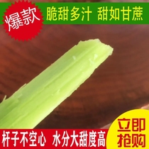 2021 Fresh Sweet Rod Sweet Sorghum Stalk 5 Catty Fresh Fruit Sweet Luguri Road Bed Green Leather Cane Reed