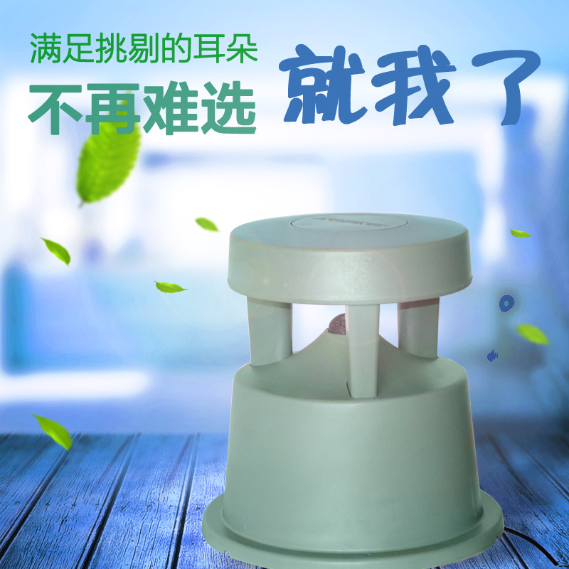 Public broadcasting background music park villa high-end outdoor waterproof lawn audio constant pressure speaker 50W