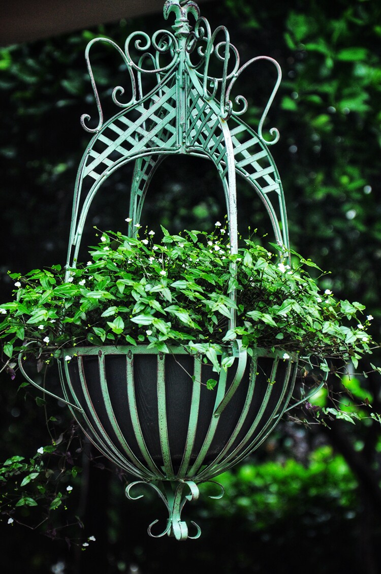 Promotional ultra-low special price wrought iron old hanging flower basket hanging basket retro palace style decorative flower