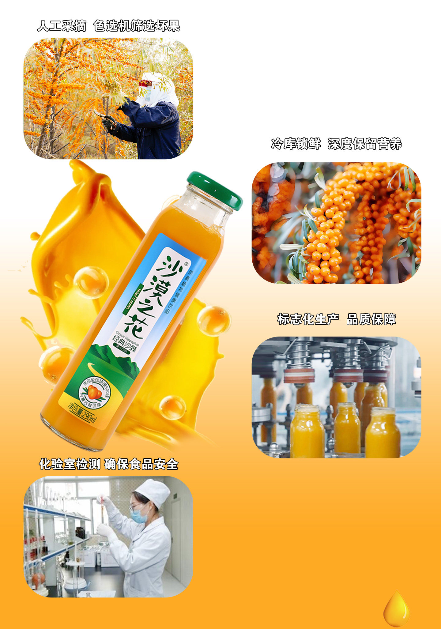 安享好物 安享C级混合果蔬汁-沙漠之花经典沙棘汁 国标 