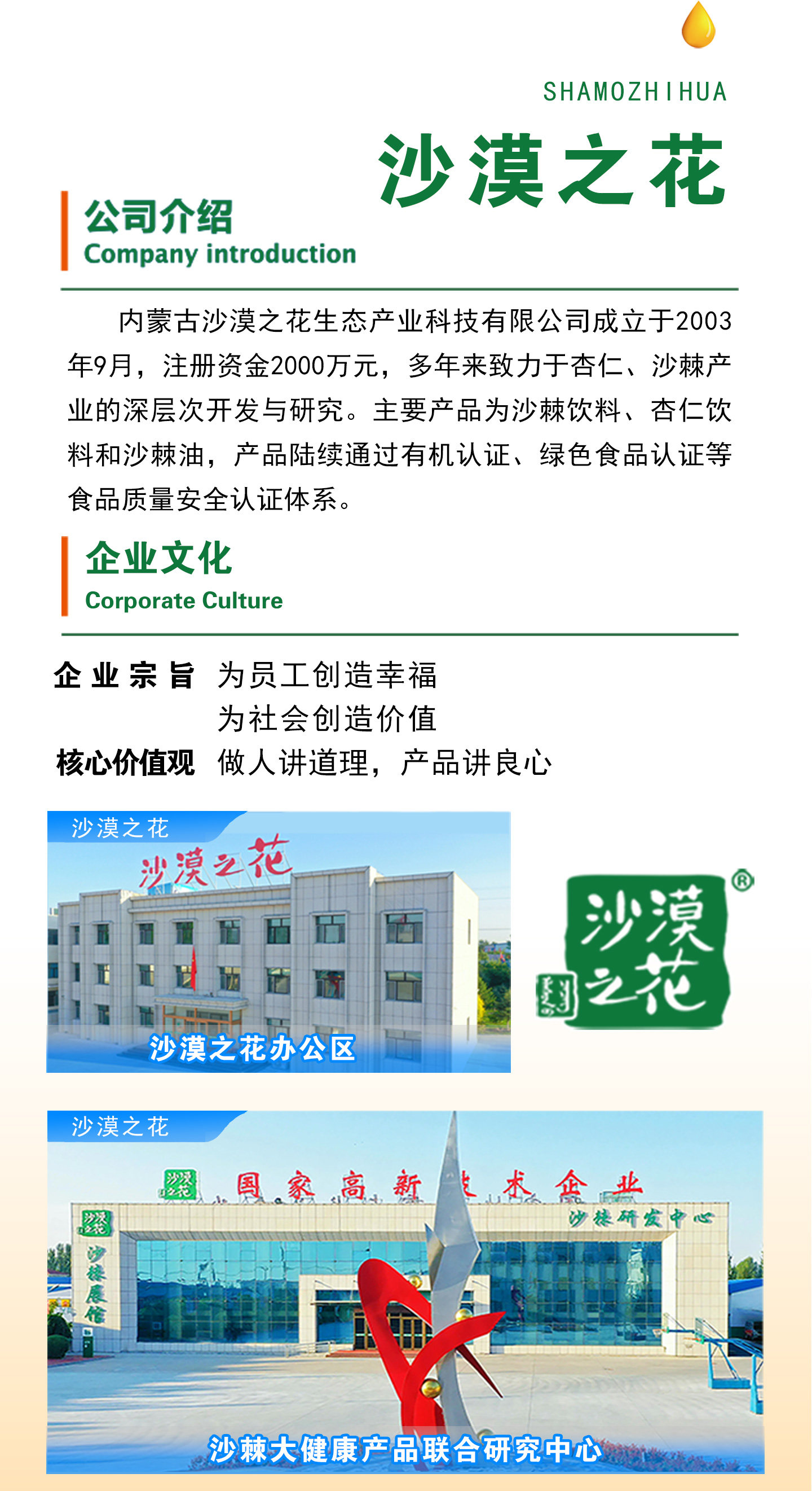 安享好物 安享C级混合果蔬汁-沙漠之花经典沙棘汁 国标 