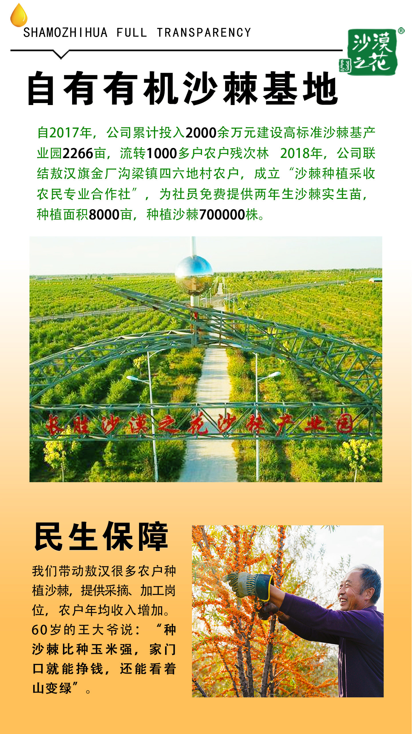 安享好物 安享C级混合果蔬汁-沙漠之花经典沙棘汁 国标 