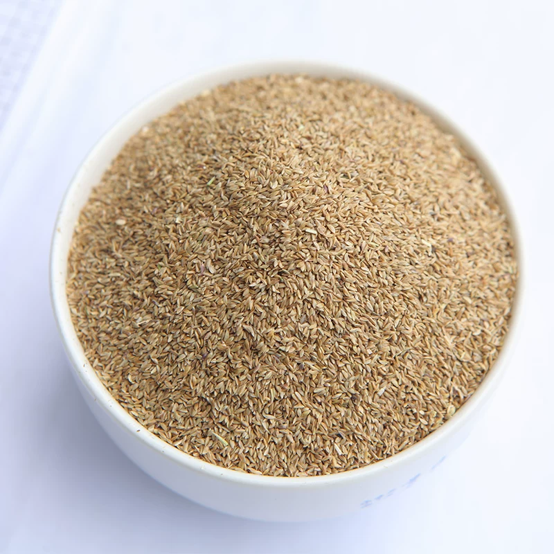 Gaofen grass seeds Four seasons Changqing дворTolerance and stepping on dog teeth roots, grass Bermuda, soil, grass seeds