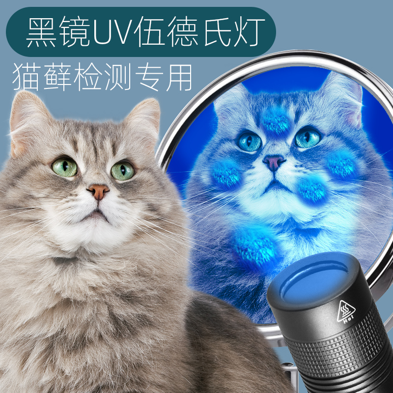 Wood's Lamp Cat Moss Light Pet Purple Light flashlight Cat Moss Light ultraviolet fungi detect dedicated banknotes