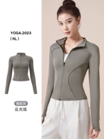 Хайян Грей [рефлексивное издание]