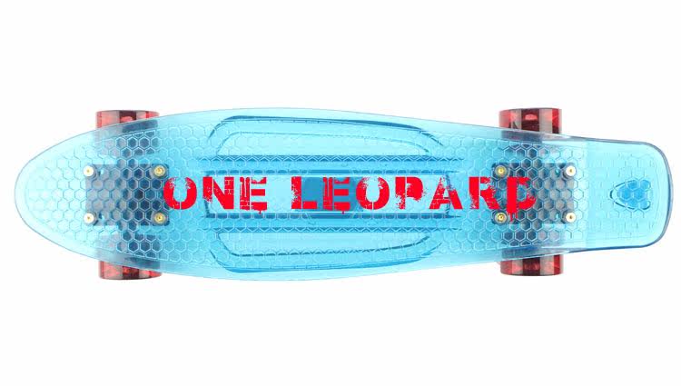 Skateboard pour homme femme - Ref 2596351 Image 34