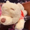 Товары от HOPE乐园正品代购