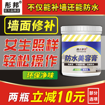 Wall Paste Wall Repair Interior Wall White Home Refurbishment Repair Wall Paint Artifact Putty Powder Waterproof Moisture and Mildew