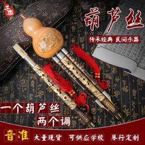 Zile Hulusi double tone adult professional performance Type G F tune students children beginner C flat B tune purple bamboo instrument