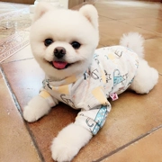 Net đỏ sữa lụa chó con chó quần áo thú cưng mùa thu và mùa đông mèo trang phục Teddy Bomei cộng với nhung quần áo mùa thu dày dễ thương - Quần áo & phụ kiện thú cưng